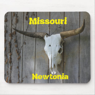 Den Missouri Newtonia MUSEN VADDERAR Musmatta