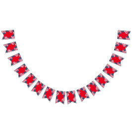 Den moderna 4:e jude patriotiska amerikanska USA f Vimplar