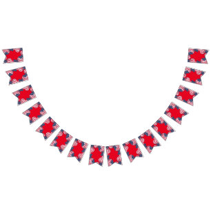 Den moderna 4:e jude patriotiska amerikanska USA f Vimplar