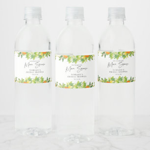 Den moderna sommarOrangen Citrus-Möhippan Lemon Vattenflaskor Etikett