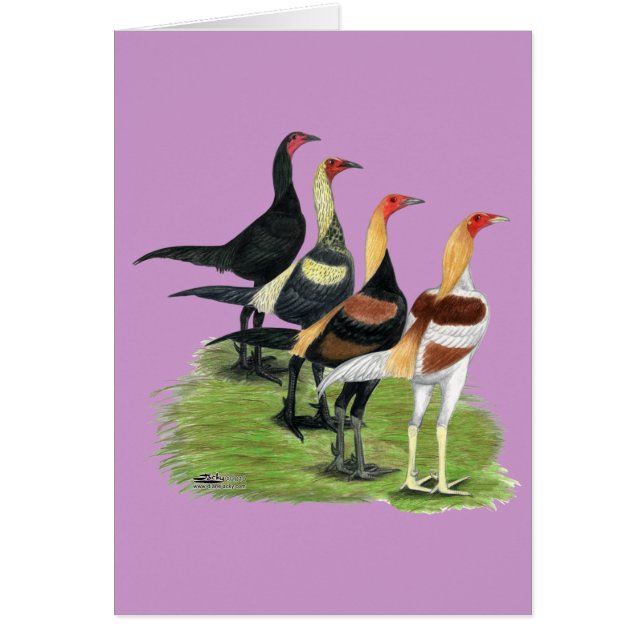 Den moderna spelkvartetten OBS kort (Framsidan)