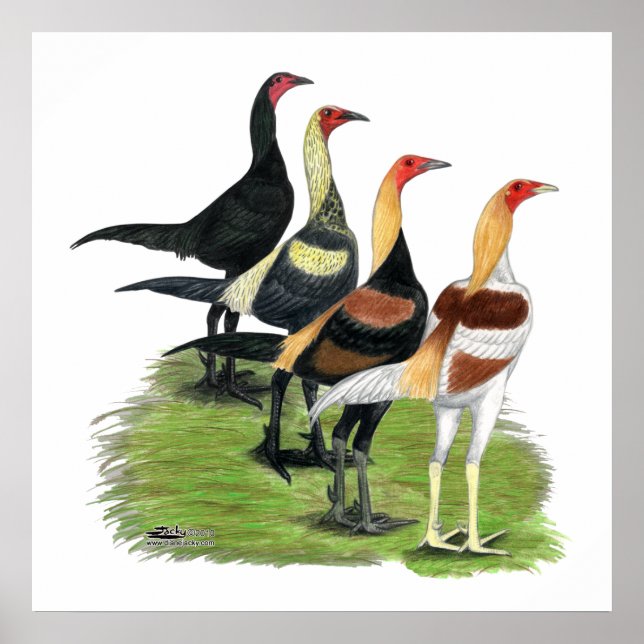 Den moderna spelkvartetten poster (Framsidan)