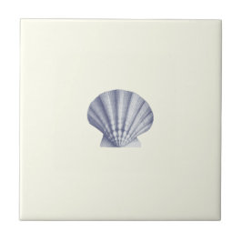 Den moderna Vintagens Snäcka för blåsjön i Elfenbe Kakelplatta