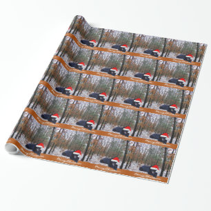 Den modiga kammen fångade en sportslig Santa för Presentpapper
