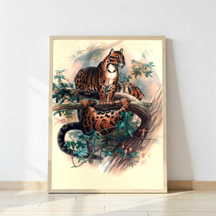 Den molda tigern poster