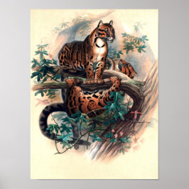 Den molniga tigern av Joseph Wolf Poster