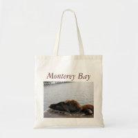 Den Monterey fjärden hänger lös