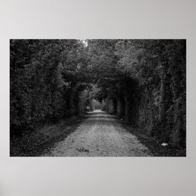 Den mörk vägen poster (Framsidan)