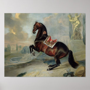 Den mörka fjärdhästen 'Valido Poster