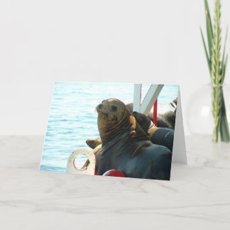 Den Morro fjärden förseglar Kort