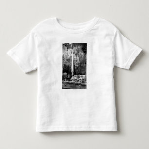 Den Multnomah nedgångar och logen fotograferar T-shirt