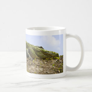 Den mycket stora alligatornaturen fotograferar kaffemugg