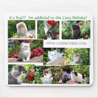 Den mysigt kattungemusen vadderar musmatta