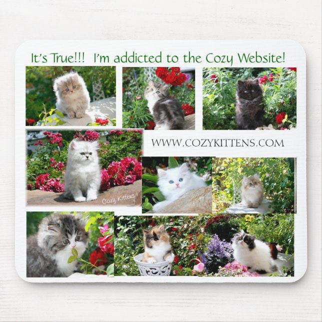 Den mysigt kattungemusen vadderar musmatta (Framsidan)