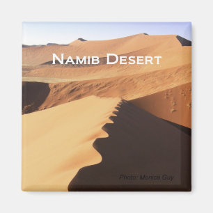 Den Namib öknen reser magneter för