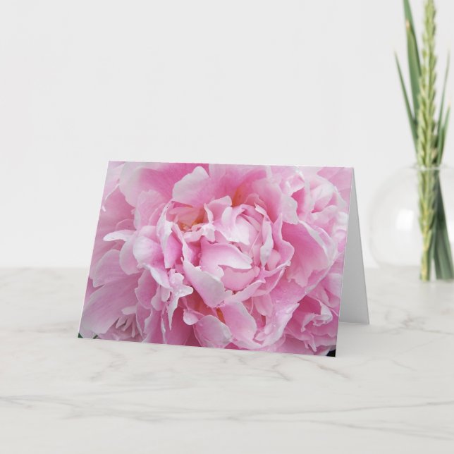 Den nätt rosa pionen noterar kortet kort (Framsida)