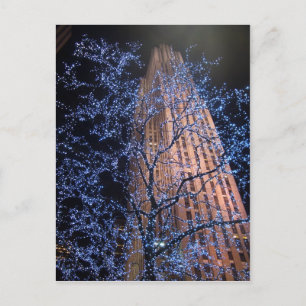 Den New York City natten går CricketDiane Vykort