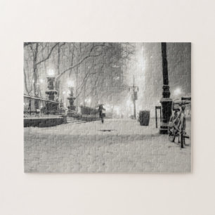 Den New York vintern - snöig natt - Bryant Pussel