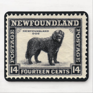 Den Newfoundland hunden stämplar gåvor Musmatta