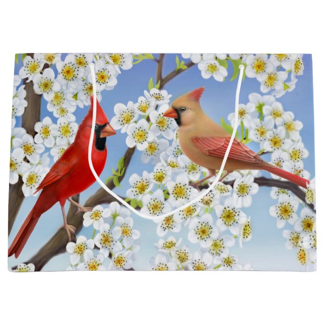 Den nordliga huvudsakliga röda fågelgåvan hänger (Framsidan)