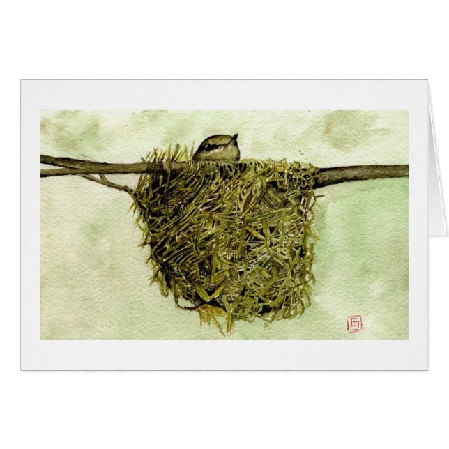 Den nordliga parulaen bygga bo hälsningskort (Framsidan Horizontal)