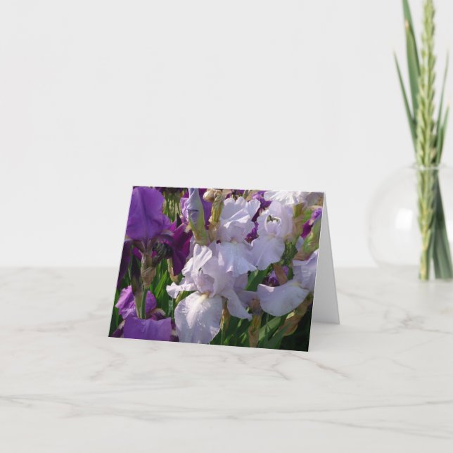 Den nya dagen arbeta i trädgården Notecard-Irisen Kort (Framsida)