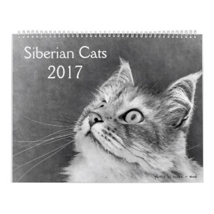 Den nya Siberian kattkalendern 2017 Kalender