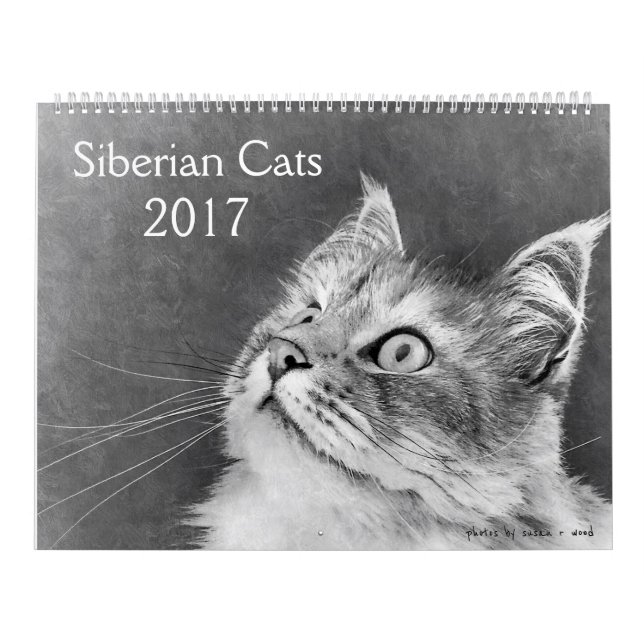 Den nya Siberian kattkalendern 2017 Kalender (Omslag)