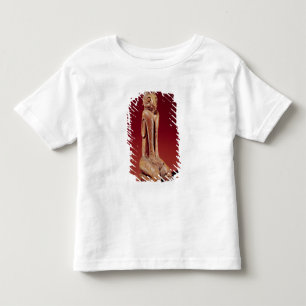 Den nyckel- Marco katten, från Florida T-shirt
