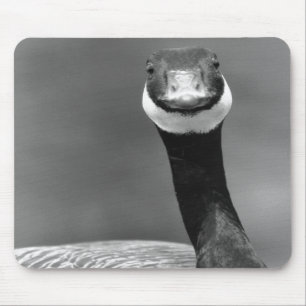 Den nyfikna gåsen Mousepad Musmatta