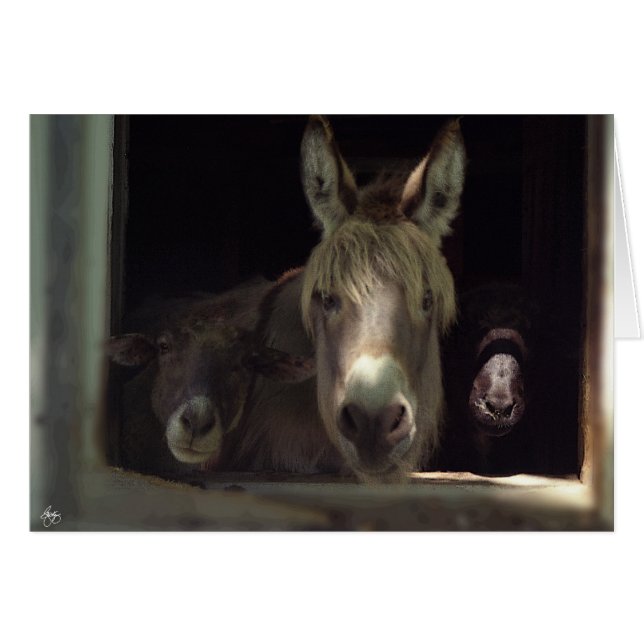 Den Nyfikna trion Hälsningskort (Framsidan Horizontal)