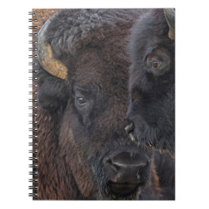 Den obligations- amerikanbisonen parar tjuren och anteckningsbok