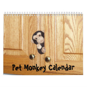 Den officiella älsklings- apakalendern kalender
