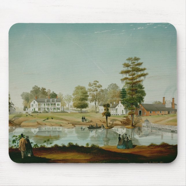 Den Olivier kolonin, 1861 Musmatta (Framsidan)