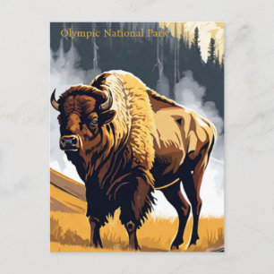 Den olympiska nationalparken Bison Buffalo Waterco Vykort