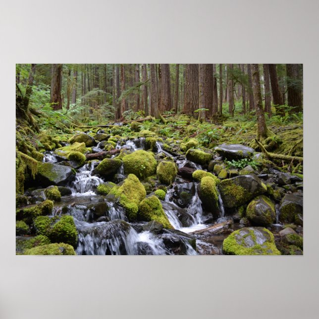 Den olympiska nationalparken poster (Framsidan)