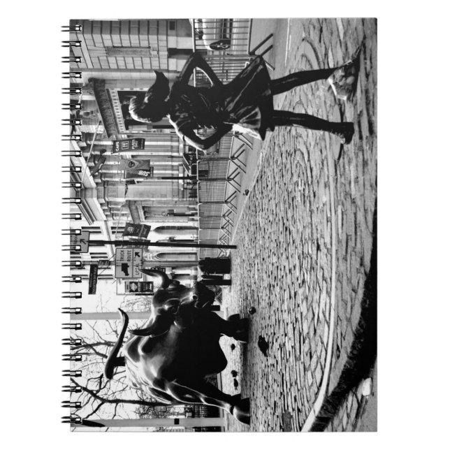 Den orädda flickan anteckningsbok (Framsidan)