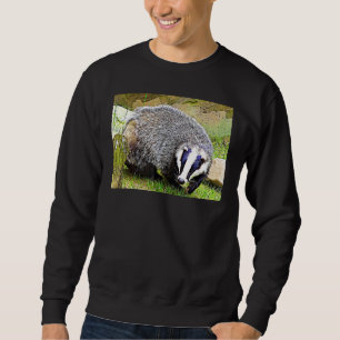 Den orädda tigern lång ärmad tröja