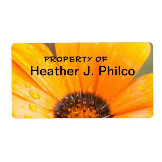 Den orange afrikanska daisynärbilden fotograferar fraktsedel (Framsidan)