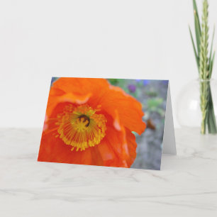 Den orange blomman kort