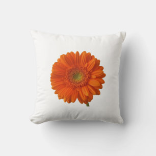 Den orange daisyn kudder kudde