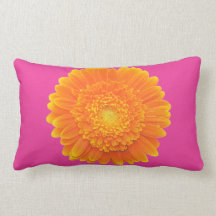 den orange gerberadaisyn dämpar