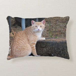 Den orange tabby katt kudder prydnadskudde