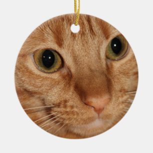 Den orange tabby katt profilerar upp ansikteslut julgransprydnad keramik