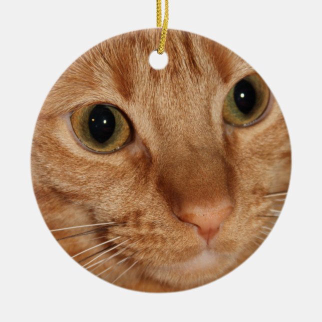 Den orange tabby katt profilerar upp ansikteslut julgransprydnad keramik (Framsidan)