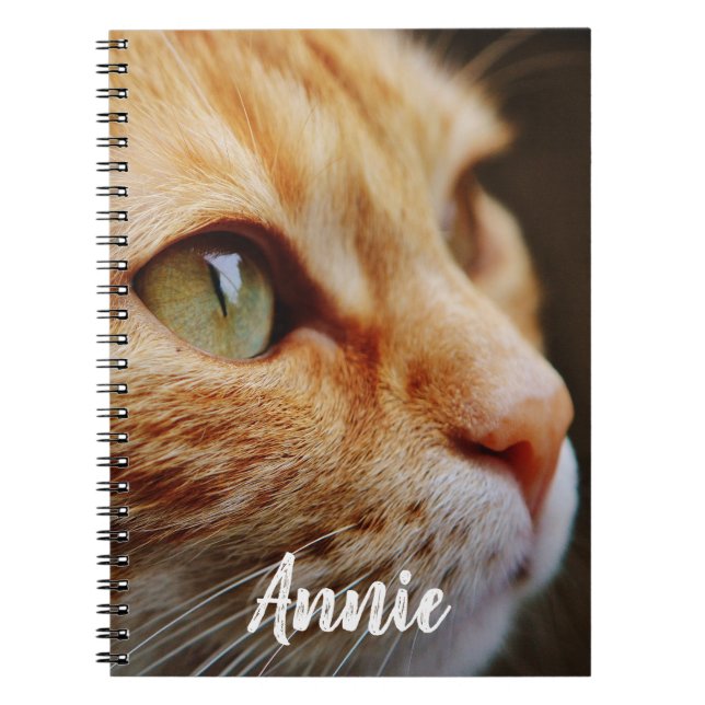 Den orange tabbyen med grönt synar anpassningsbar anteckningsbok (Framsidan)