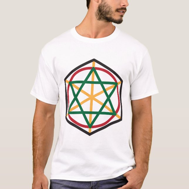 Den organiska skjortan för DJ Delphi T-shirt (Framsida)