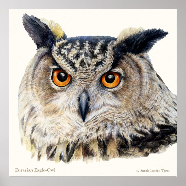 Den ornitologiska bran Eurasien Eagle Uggla poster (Framsidan)