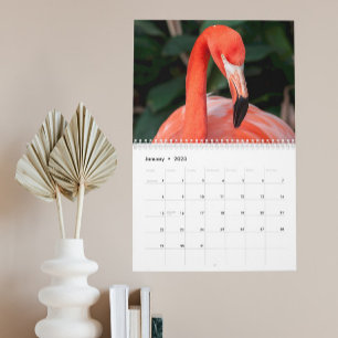 Den otroliga Flamingo-kalendern väljer år Kalender