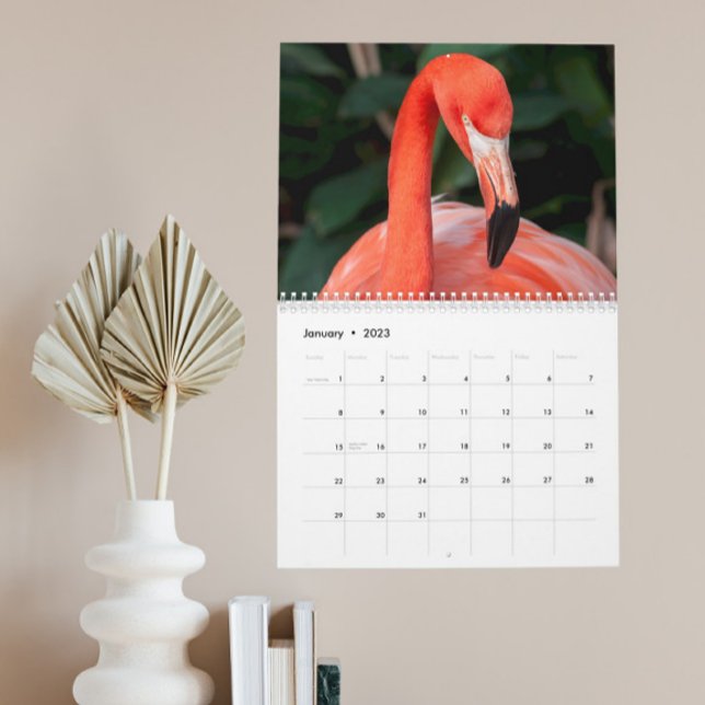Den otroliga Flamingo-kalendern väljer år Kalender (Skapare uppladdad)